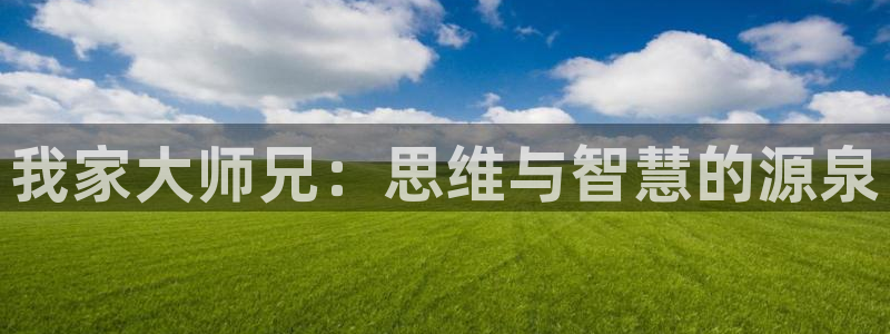 我家弟真的很棒虫虫漫画：我家大师兄：思维与智慧的源泉