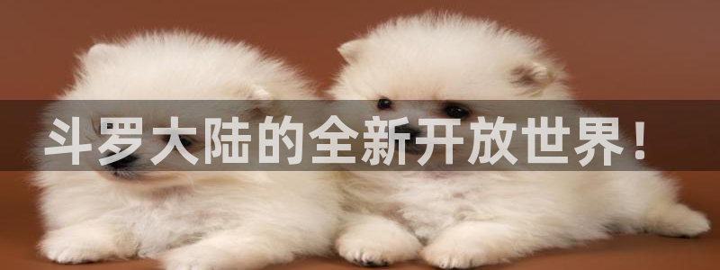 黑执事虫虫漫画：斗罗大陆的全新开放世界！