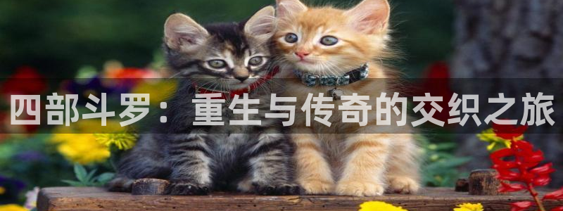 鬼父之虫虫漫画：四部斗罗：重生与传奇的交织之旅